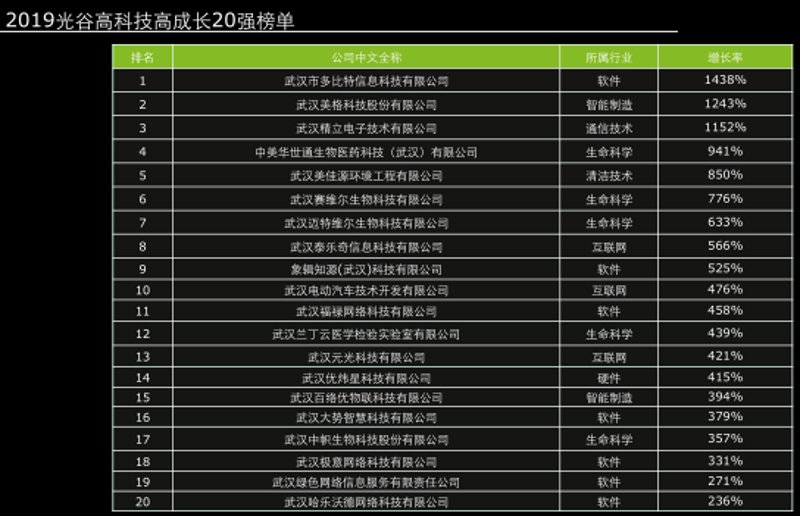 武汉软件开发：引领未来科技的风向标